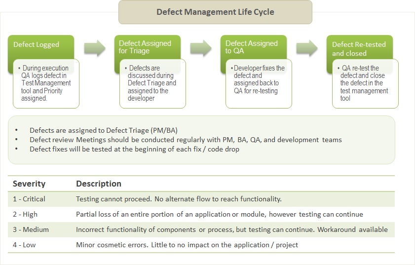 defect management